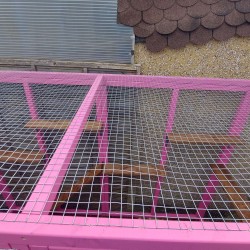 Pink 8FT X 4FT X 6ft High Freestanding Catio Enclosure 